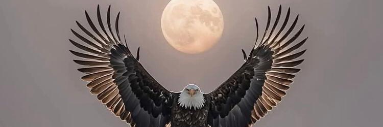 BruhLoot's profile banner image
