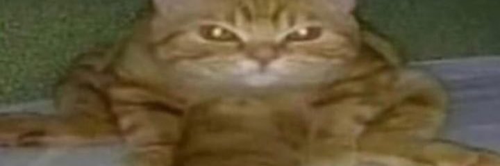 jeesusgnzaalez's profile banner image