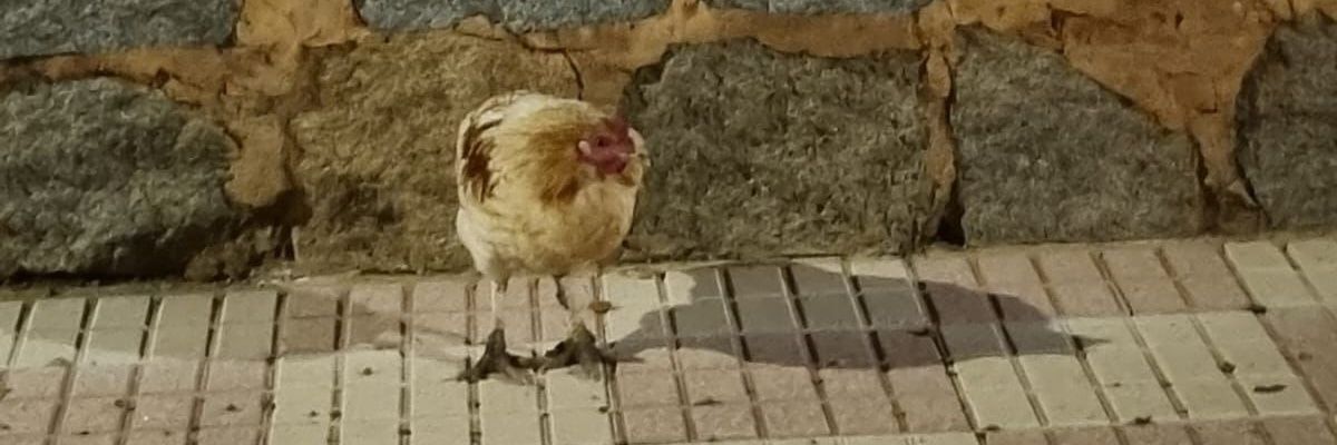 Uno de pueblo banner