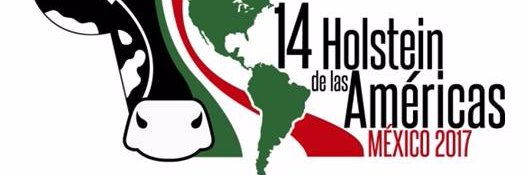 Holstein de Mexico banner