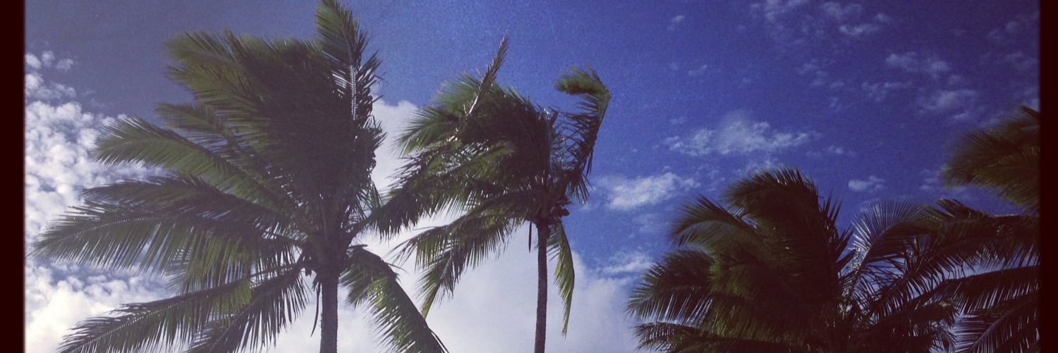 Mandylouf's profile banner image