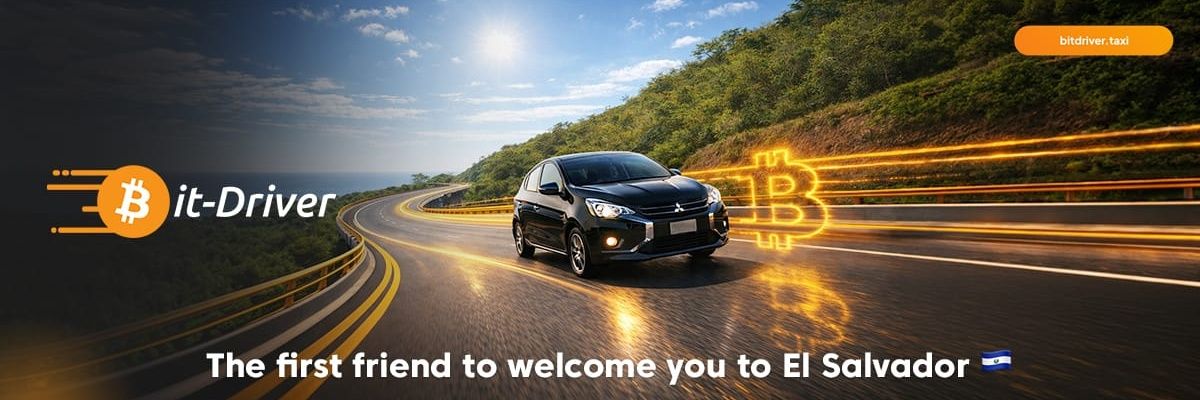 Bitdriver banner
