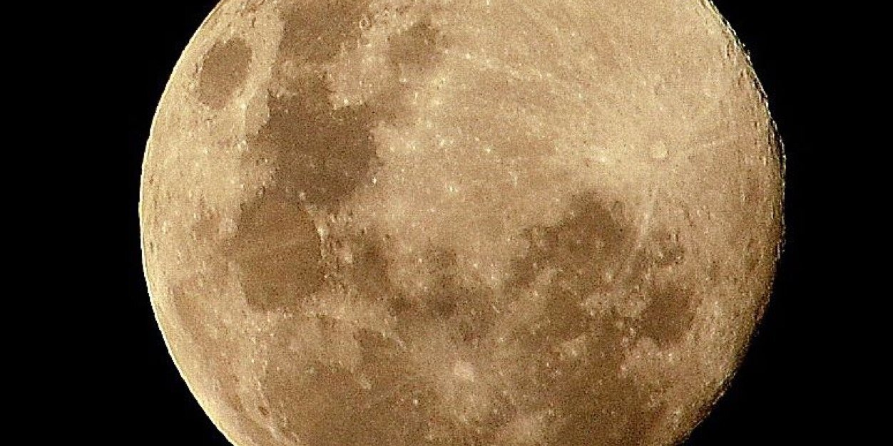 peladobecker's profile banner image