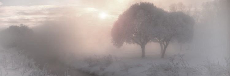 ✩⋆.ೃ࿔°𝄞 سماء °｡✫彡♪𓇢𓆸 ｡･:*:･ﾟ banner