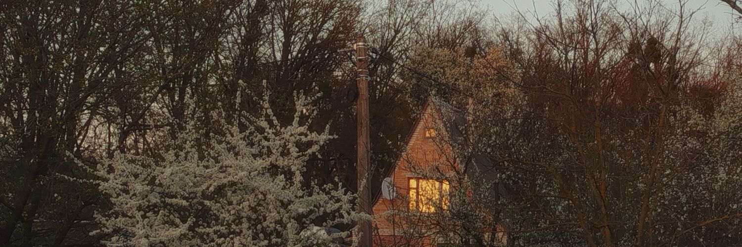чайна маніїчька banner