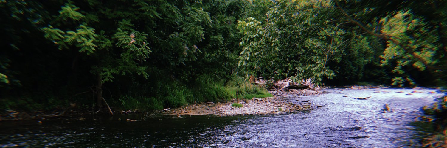 emilykeefer_'s profile banner image