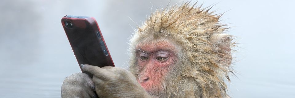 Seckinms's profile banner image