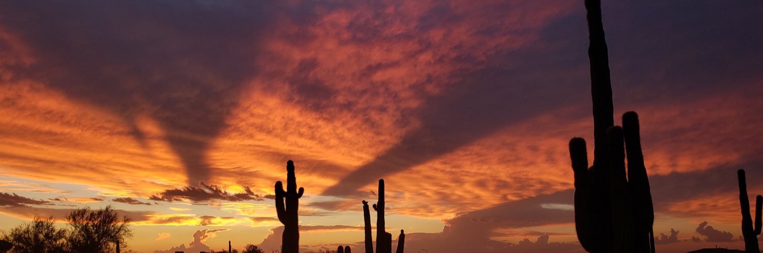 runningdog🏴‍☠️🤘🏼 banner