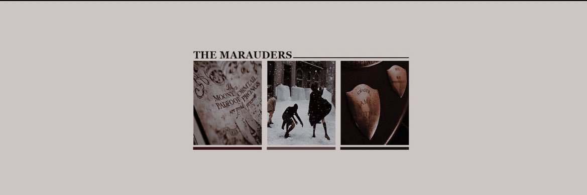 wldflwrwiIson's profile banner image