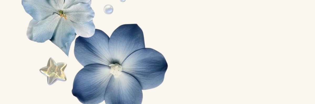 nossibaaa's profile banner image