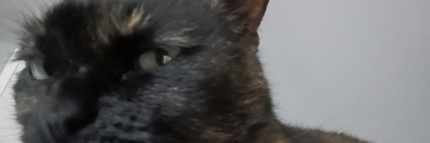 Eliz__King's profile banner image