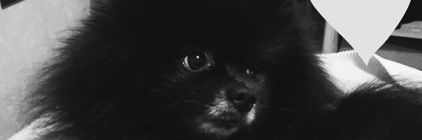 Paaa_Pau's profile banner image