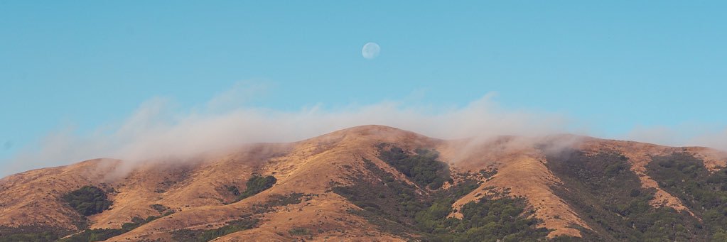 Matt Bennett banner