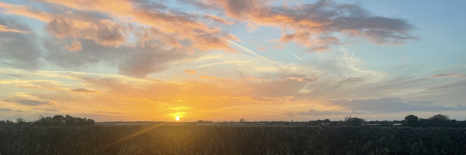 ellidoyle21's profile banner image