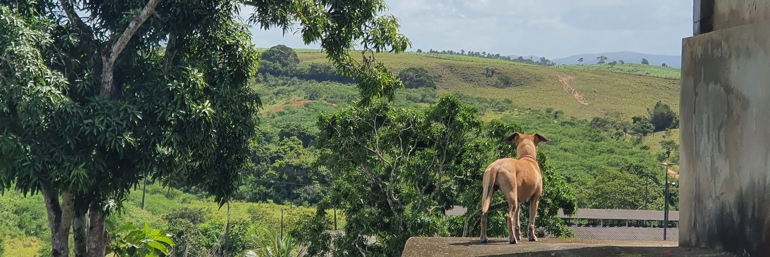 gustaaaaaaaavo's profile banner image