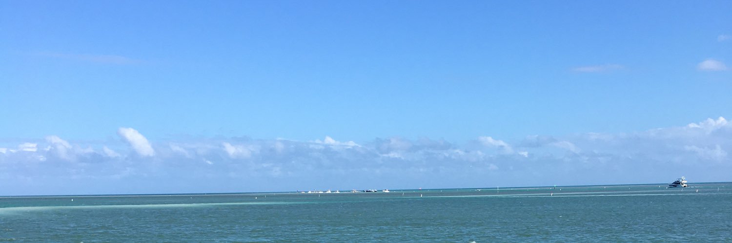 AllDay🏴‍☠️ banner