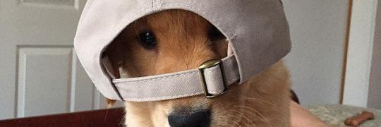 andre__93's profile banner image
