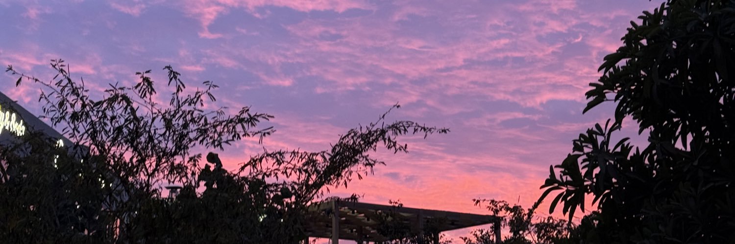 MayaElgendi's profile banner image