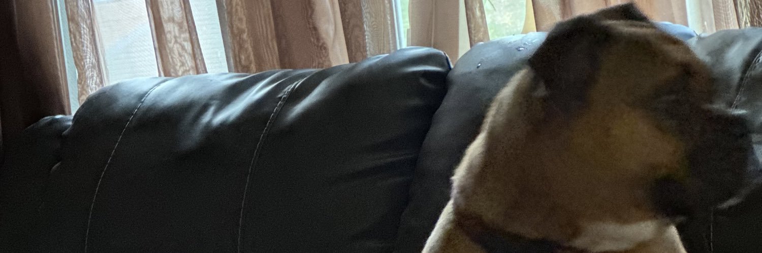 msstellarose_'s profile banner image