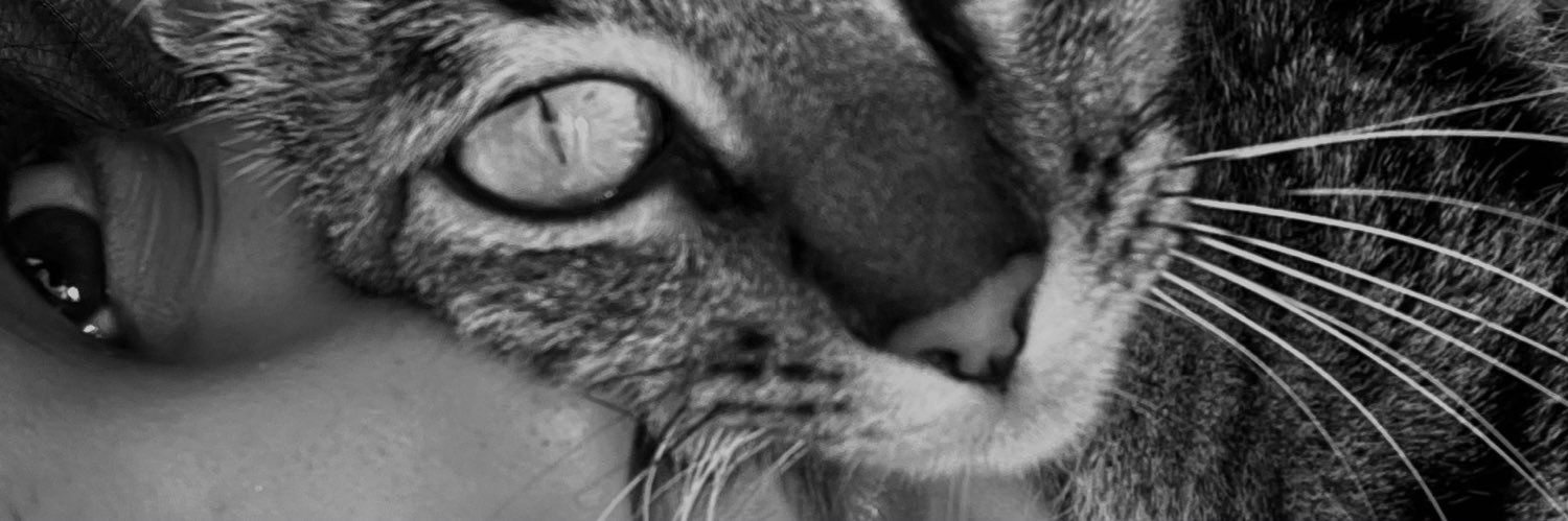 _rborgesss's profile banner image