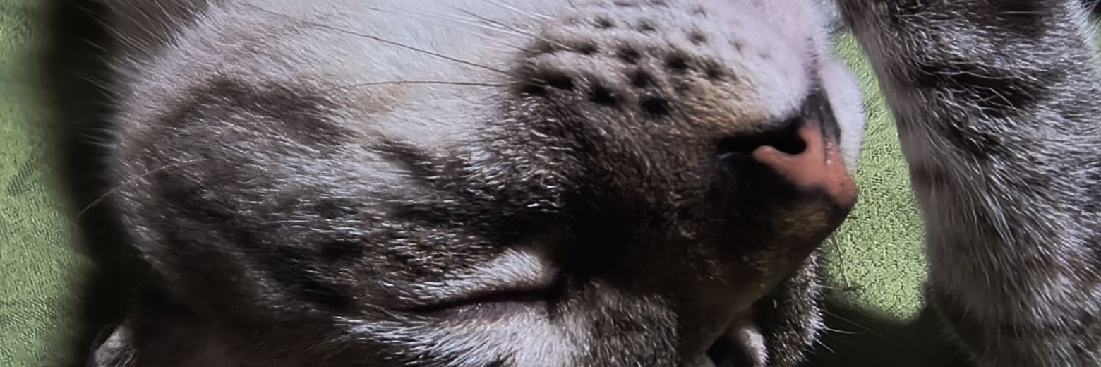 GATICA22's profile banner image