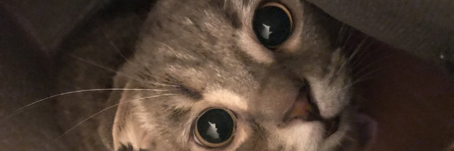 basakozzen's profile banner image