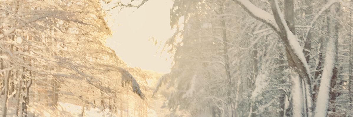 666koen banner