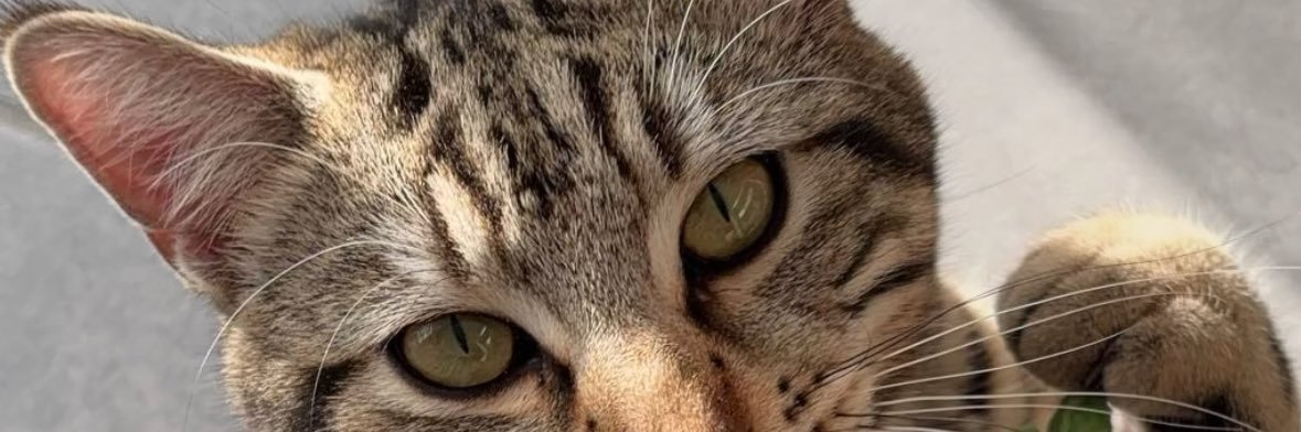 1 banner