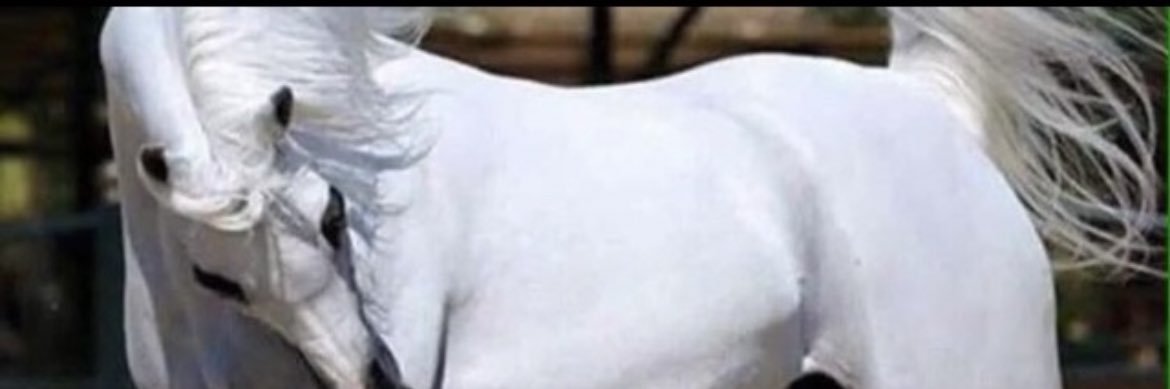 Hdhud_14's profile banner image