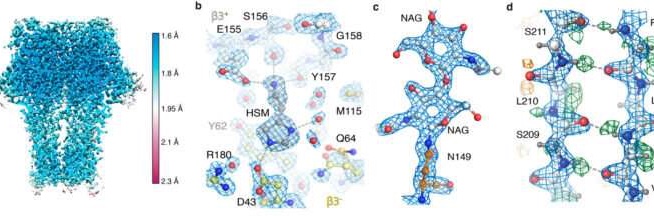 LogarithmicDis 🦋🇺🇸🇨🇦⛷️🔬🏨 banner