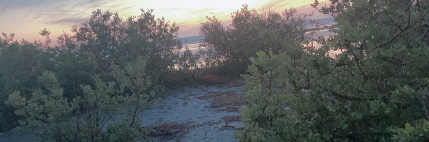 genan Daghriry banner