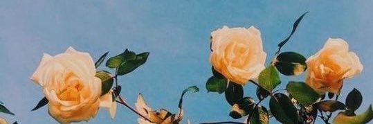 MarionDeroche's profile banner image