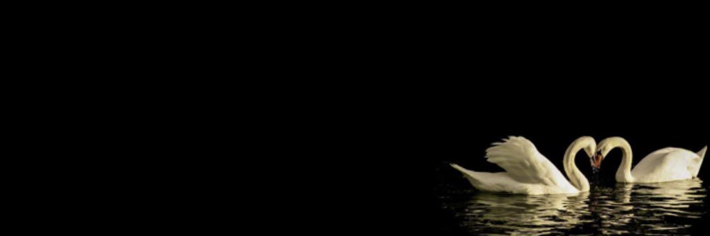 -`𝒜 ´- banner