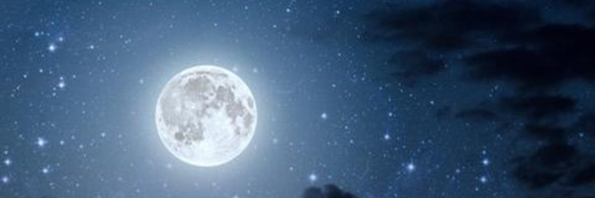 yesiamtroxa's profile banner image