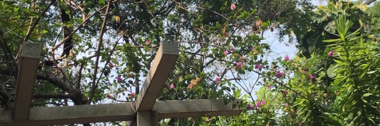 Naomyyy33's profile banner image