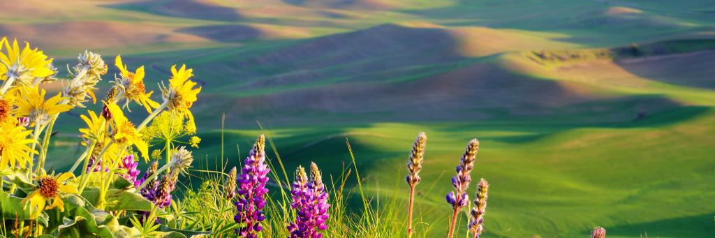 Parks_WA's profile banner image