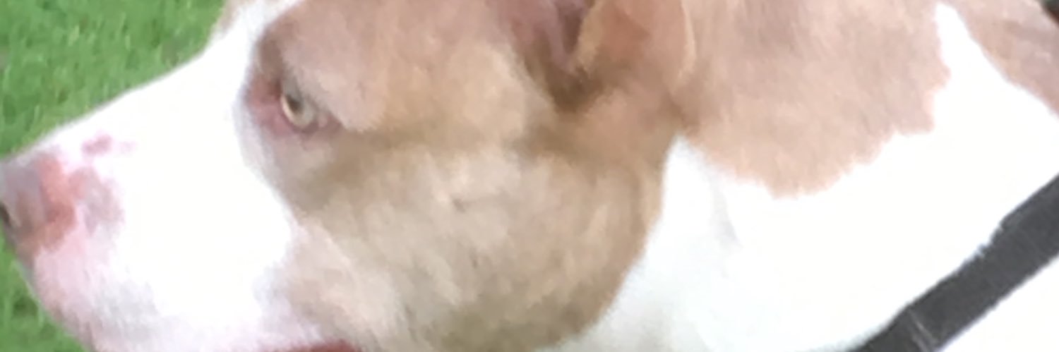 bigTish70's profile banner image