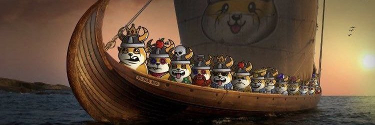 HODL FLOKI banner