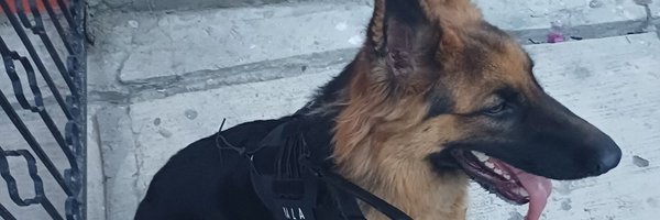 TalyGaming Profile Banner