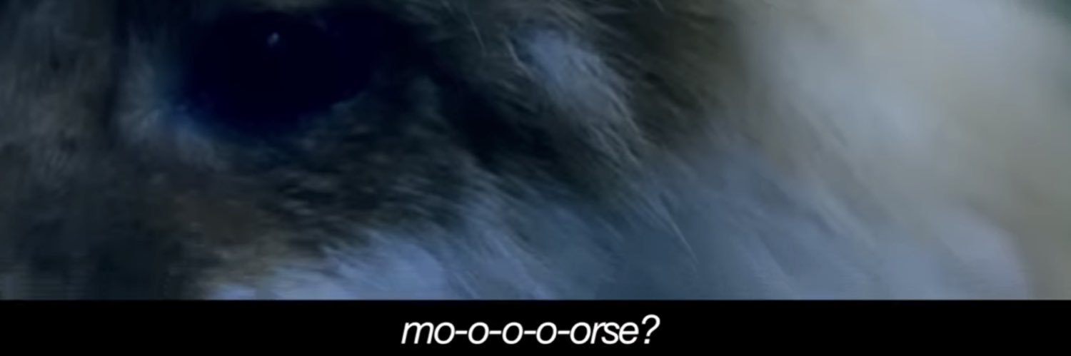 Adam Morse banner