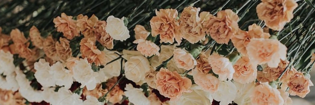 halloryleu's profile banner image
