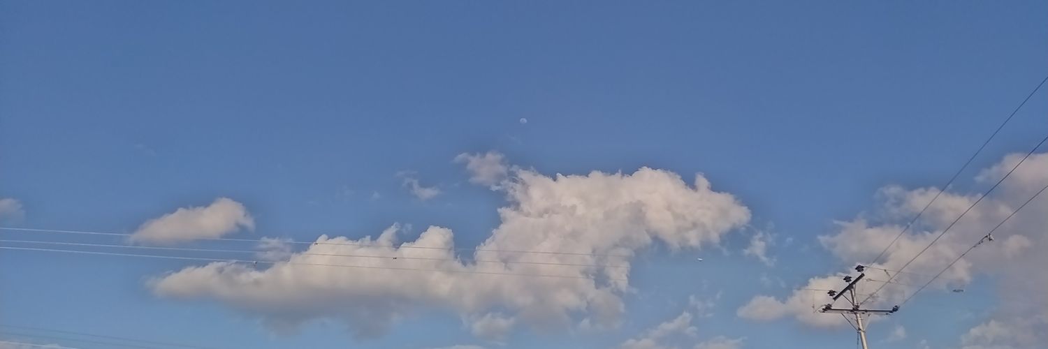Anyelylanz's profile banner image
