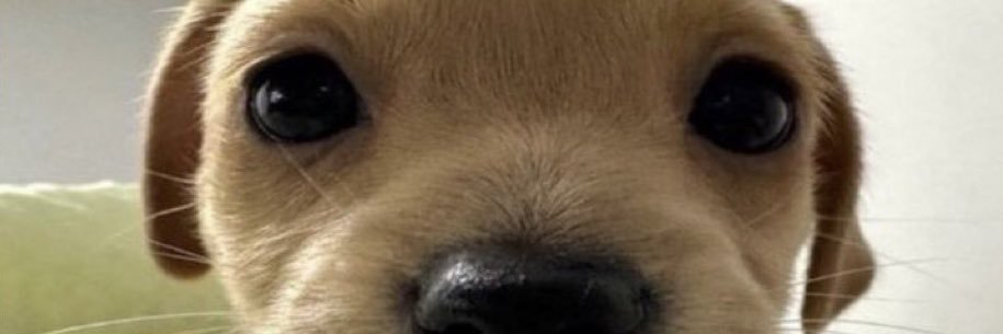 🇨🇳🇨🇳 Praise 📕 Mao 🇨🇳 🇨🇳 banner