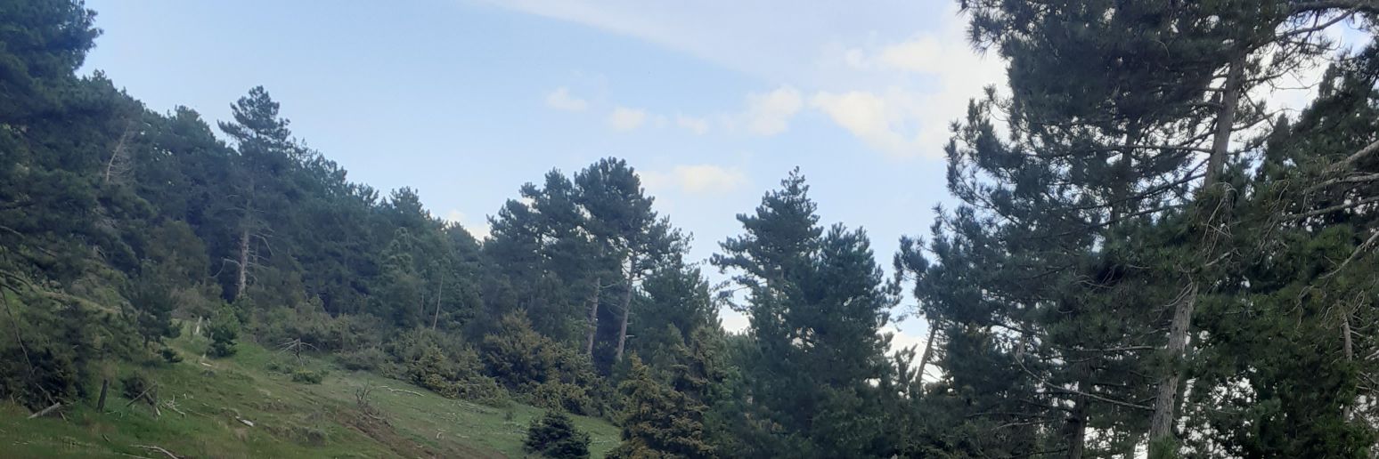 mobiilll's profile banner image
