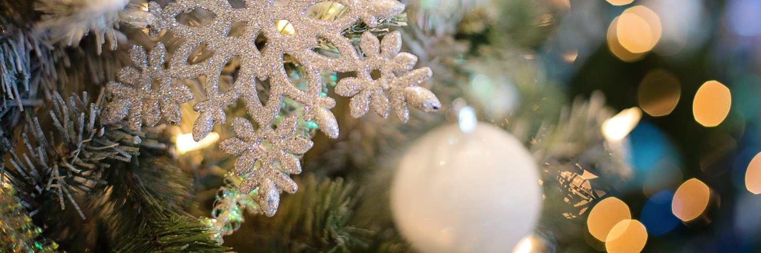 본계 트친 찾는 이브🏳️‍⚧️🌹🌂 banner