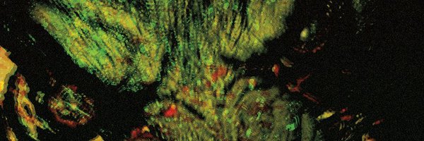VeryDenseCat Profile Banner