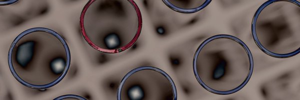 ailon Profile Banner