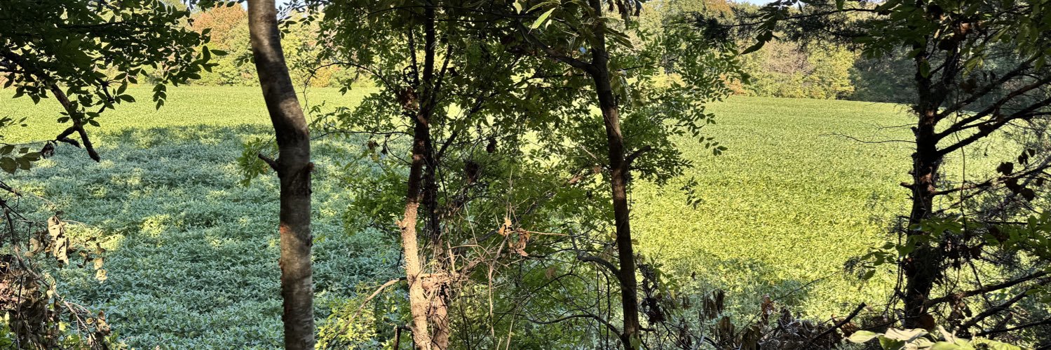 talley_30's profile banner image