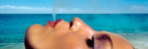 c h a n d l e r banner