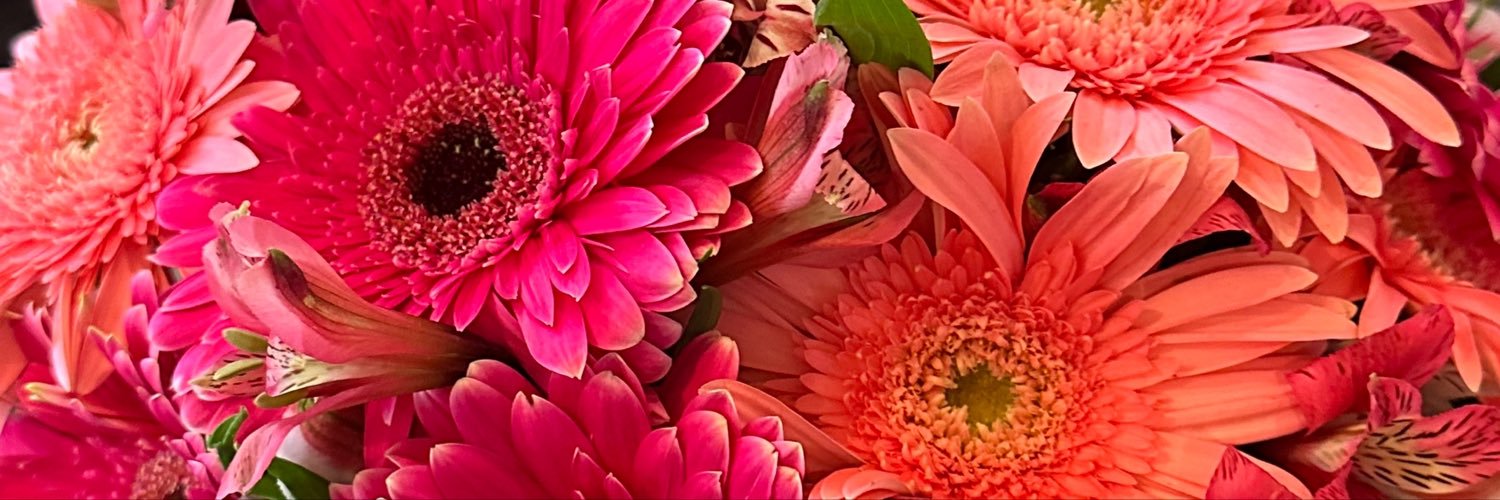SalmaGarzaM's profile banner image